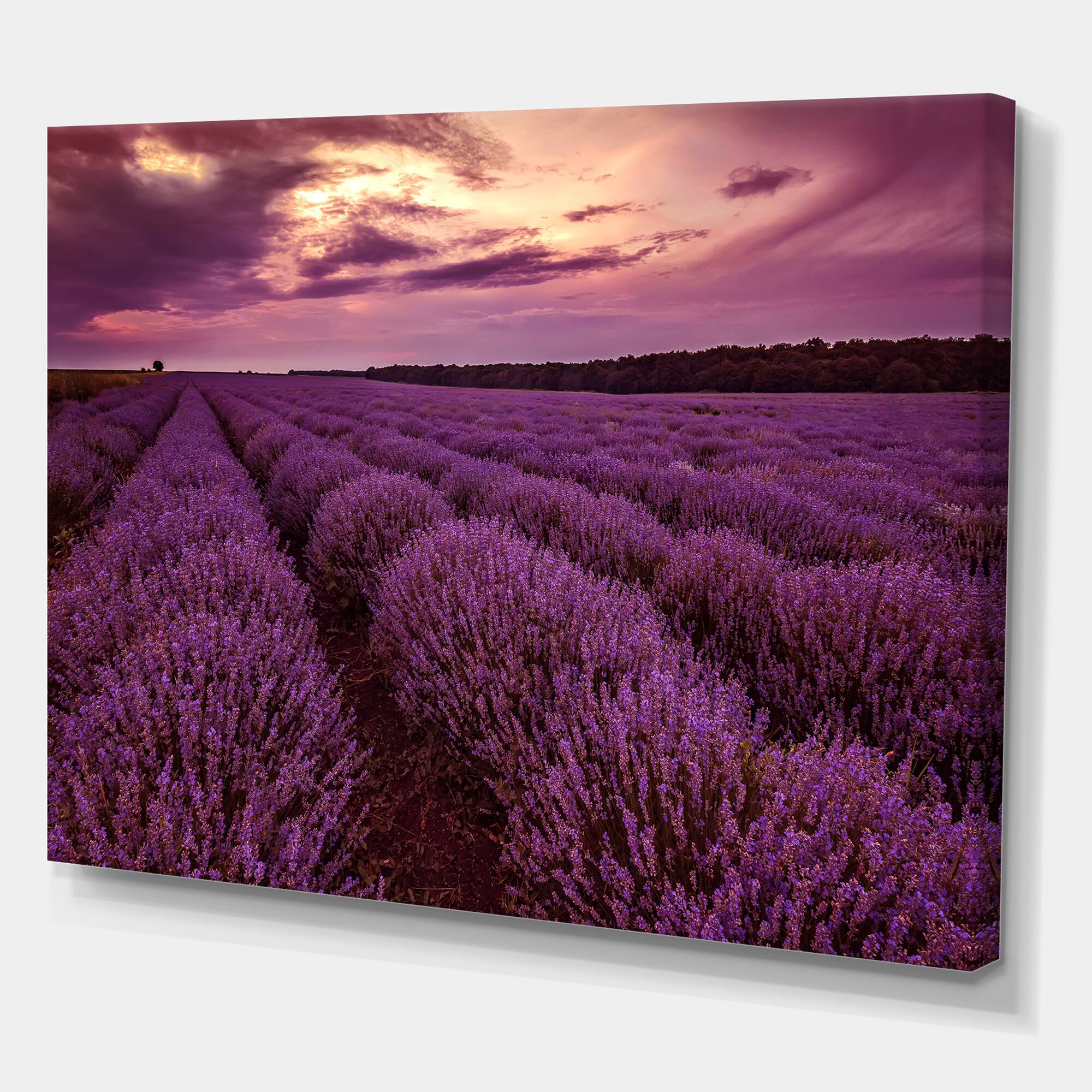 Designart - Sunrise & Dramatic Clouds Over Lavender Field III